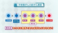 vol.64　ヒトパピローマウイルス