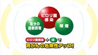 vol.102　胃がんの危険因子