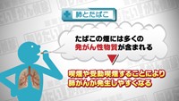 vol.107 死亡数の多い肺がん
