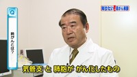vol.230　肺がん