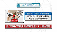 Vol. 556回「前立腺がんとは」