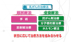 Vol.746回「乳がんの症状・治療方法」
