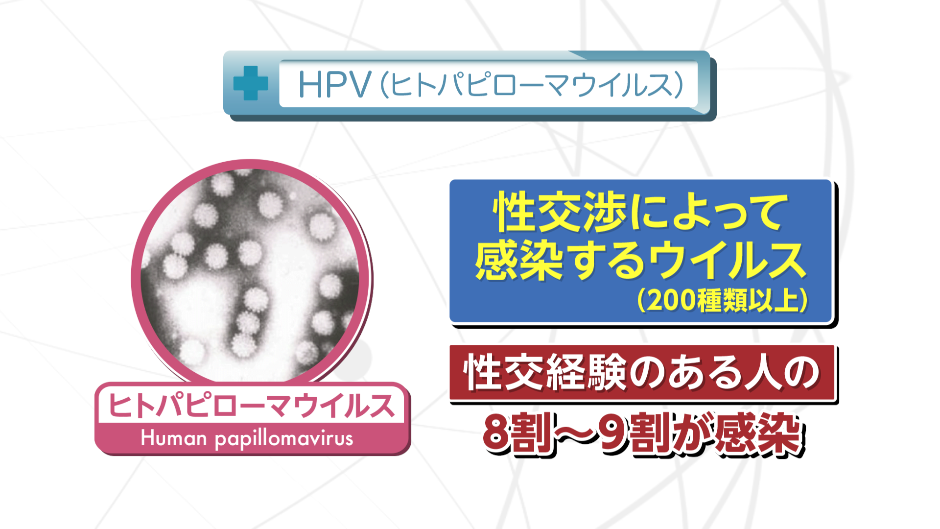 Vol.764回「子宮頸がんとは」