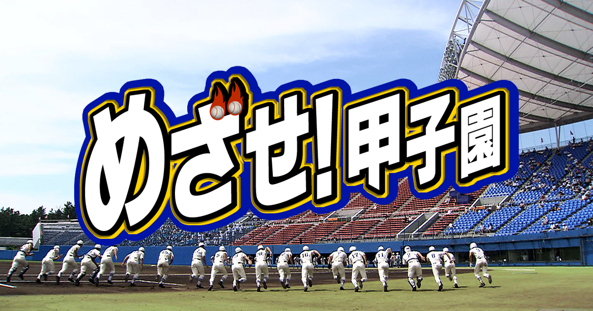 めざせ! 甲子園 めざせ！甲子園