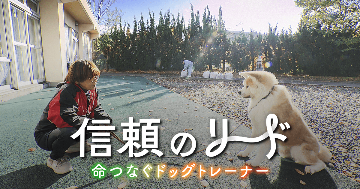 テレメンタリー2026「信頼のリード 命つなぐドッグトレーナー」