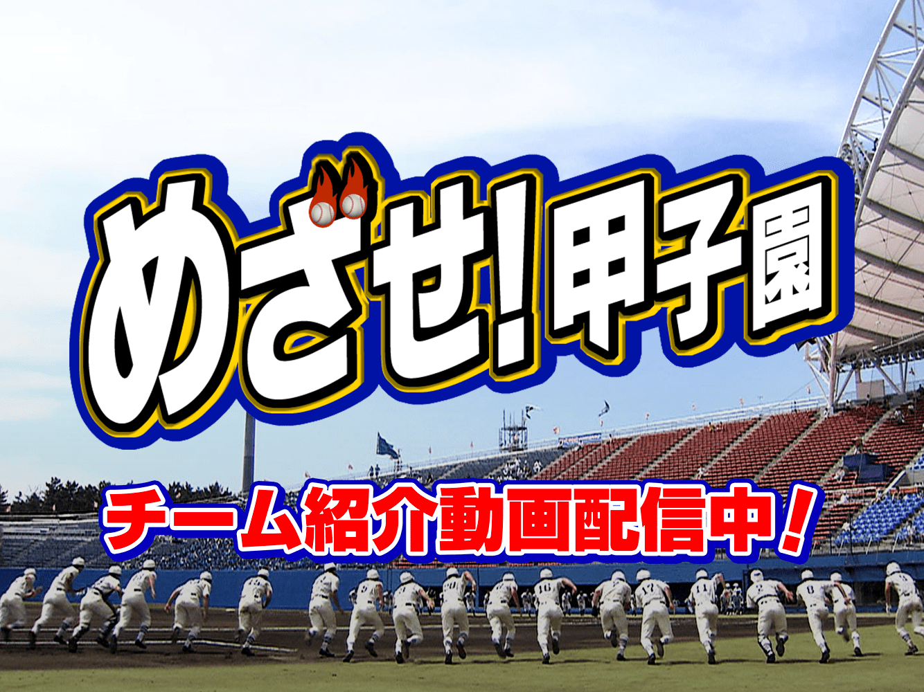 めざ甲（放送後）
