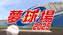 夢球場2025