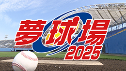夢球場2025