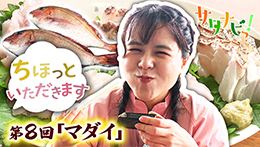 サタナビっ！YouTube