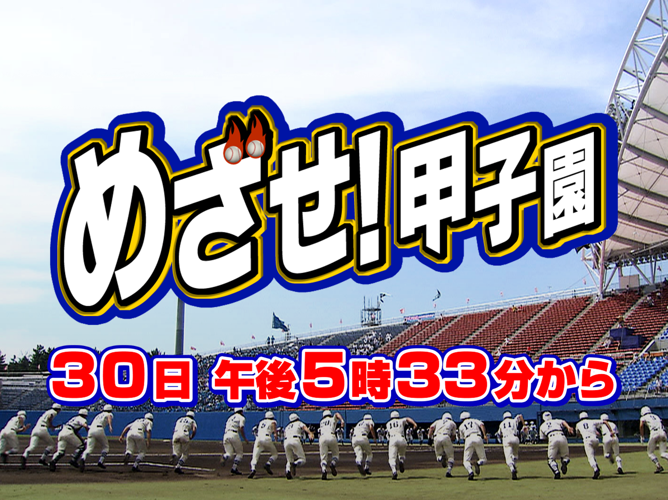 めざ甲（事前）