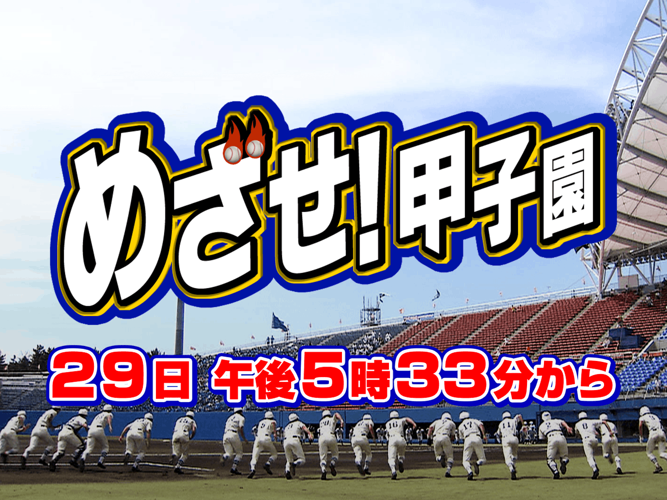 めざ甲（事前）