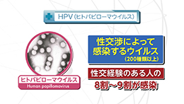 知りたい!がん検診(12/14)
