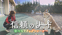 テレメンタリー