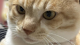 アナウンサー日記（高田）