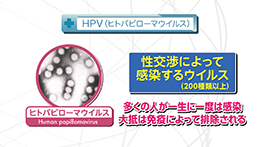 知りたい！がん検診（6/28）