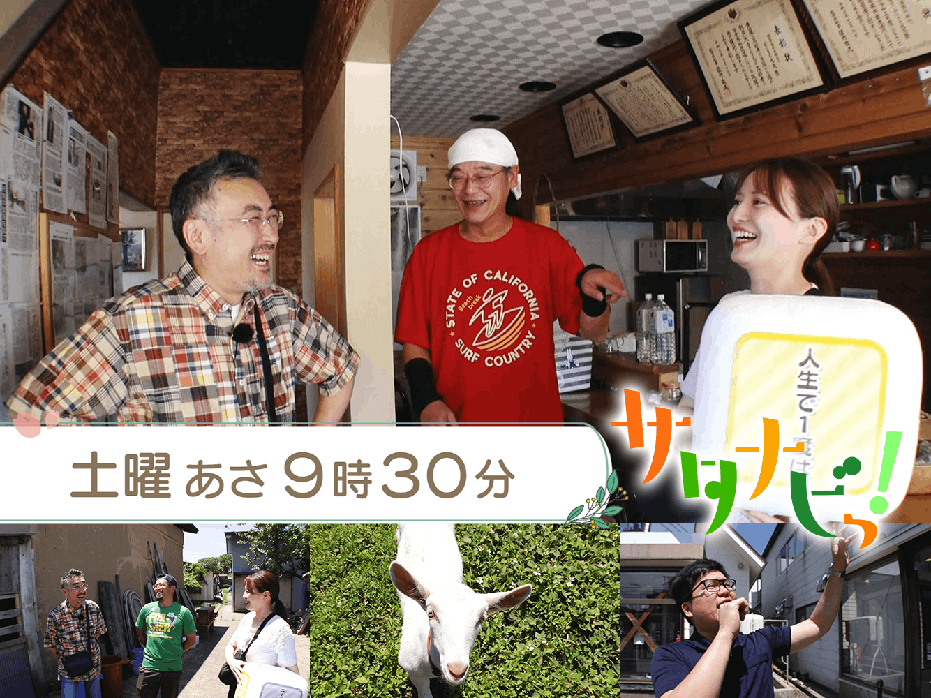 サタナビっ！（6/27）