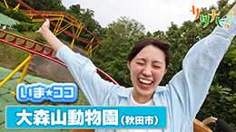 サタナビっ！YouTube