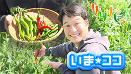 サタナビっ！YouTube