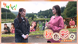 サタナビっ！YouTube
